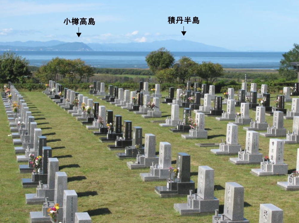 ８区