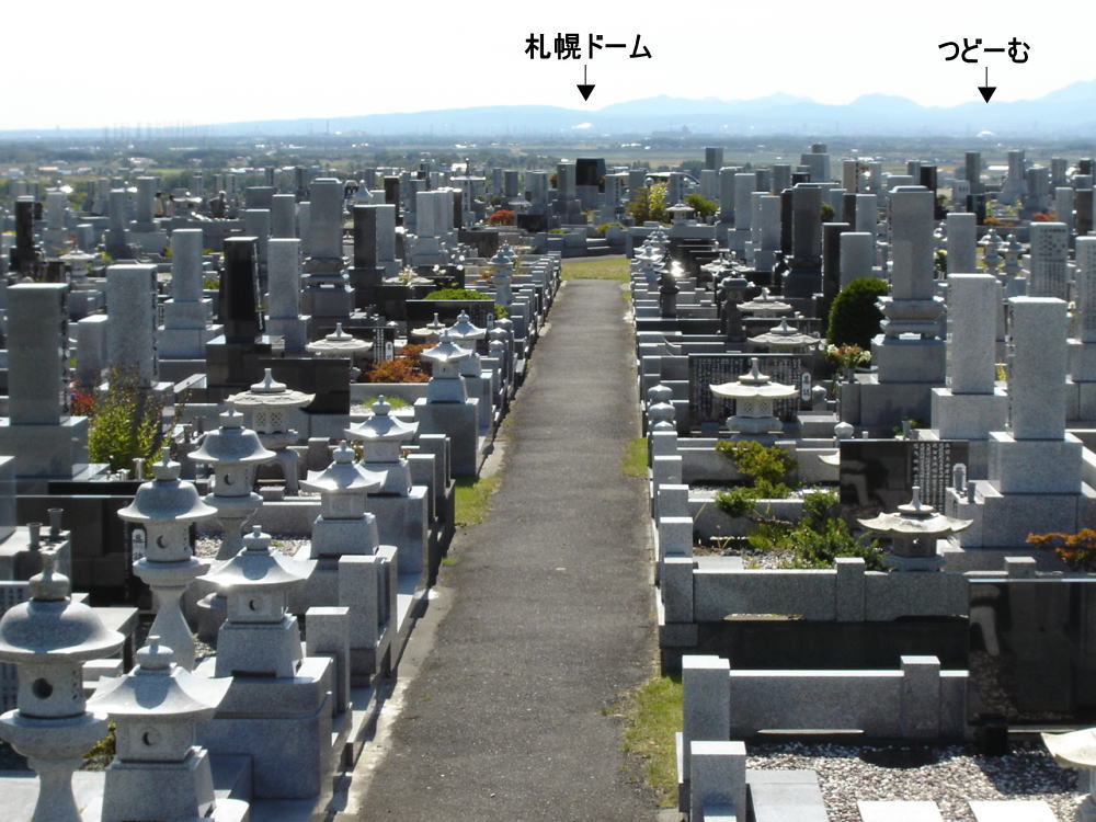 １１区