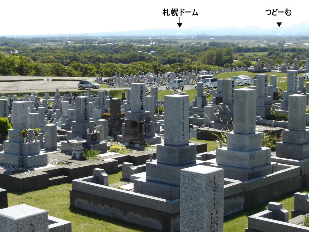 ６区