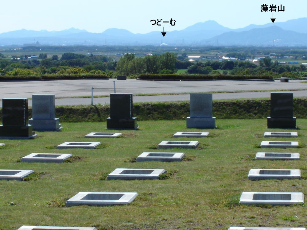 ６区　規格
